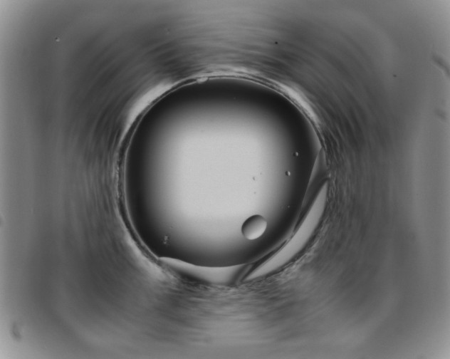 X0000097761003200803141719