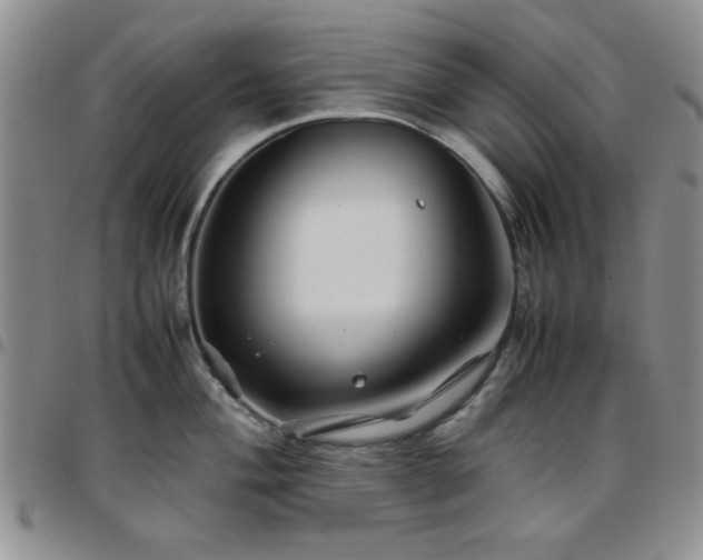 X0000097761004200803141719