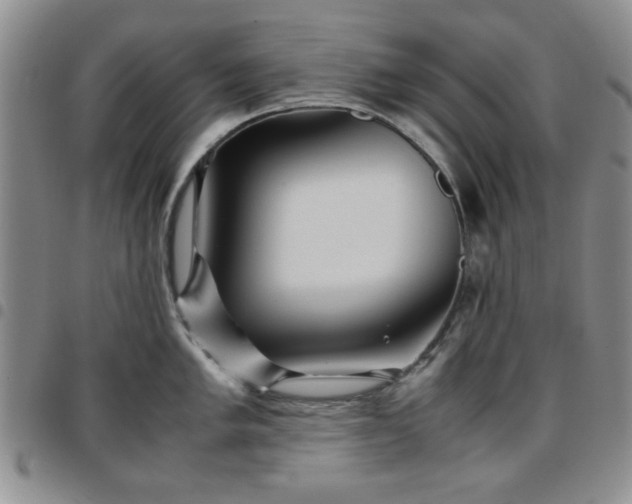 X0000097761005200803141719