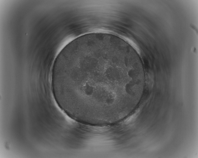 X0000097761007200803141719