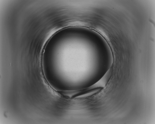 X0000097761008200803141719