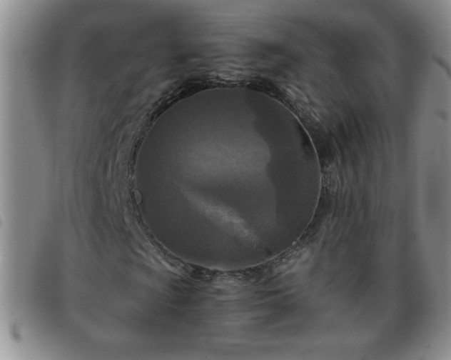 X0000097761009200803141718