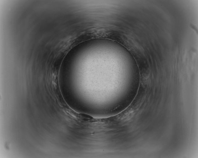 X0000097761010200803141718