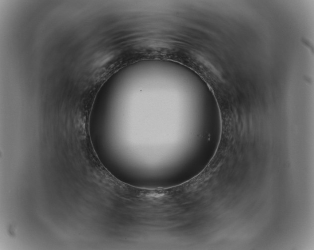 X0000097761013200803141718