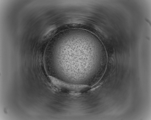 X0000097761014200803141718