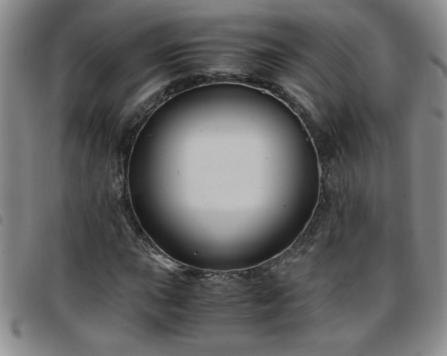 X0000097761015200803141718