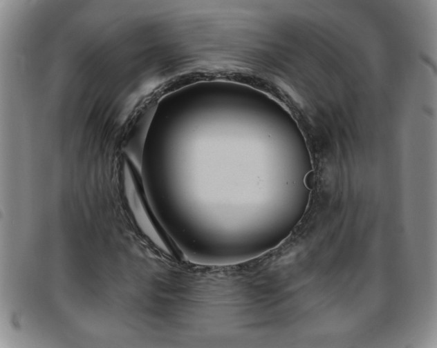 X0000097761016200803141718