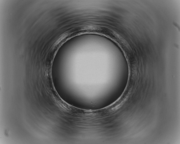 X0000097761017200803141718