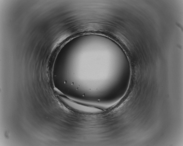 X0000097761018200803141718