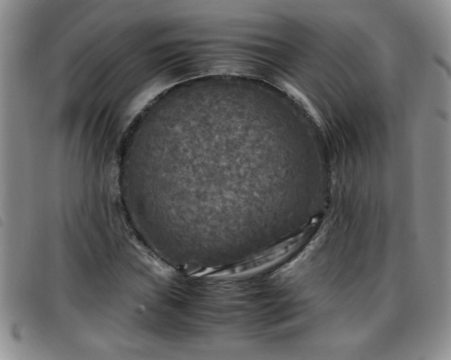 X0000097761019200803141718