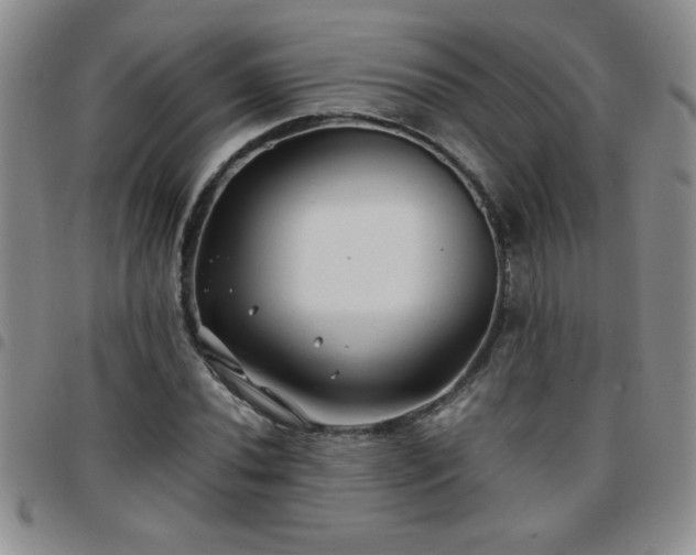 X0000097761020200803141718