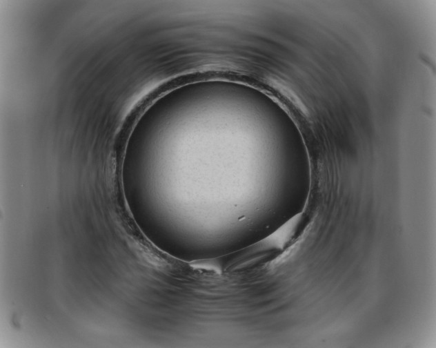 X0000097761021200803141718