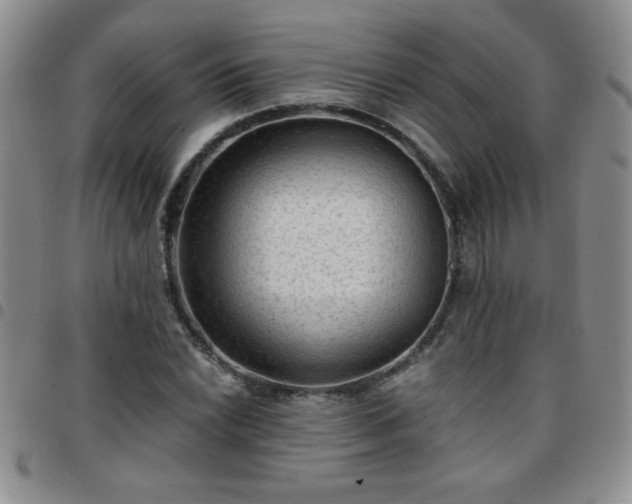 X0000097761022200803141718