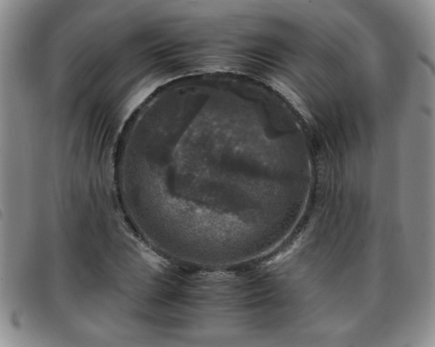 X0000097761023200803141718