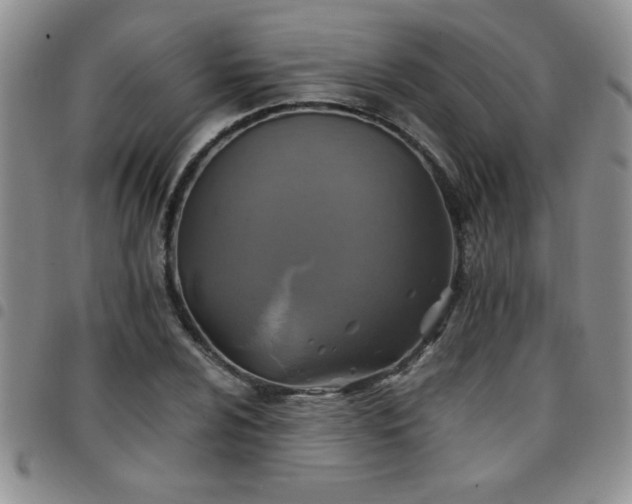 X0000097761024200803141718