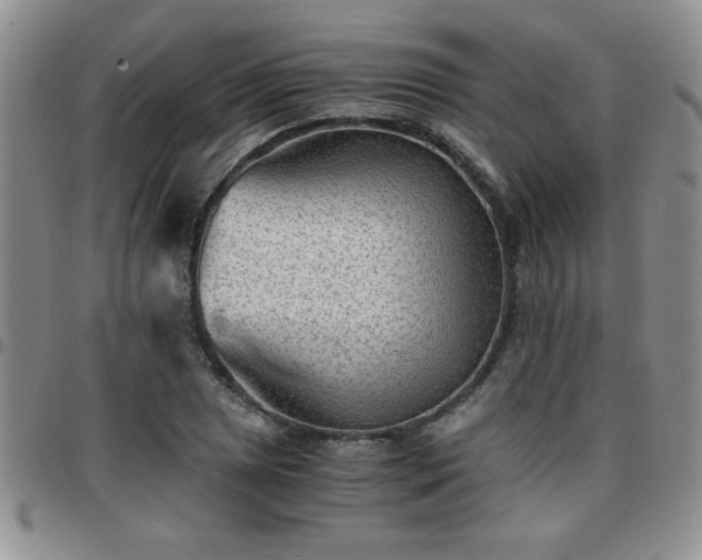 X0000097761025200803141718