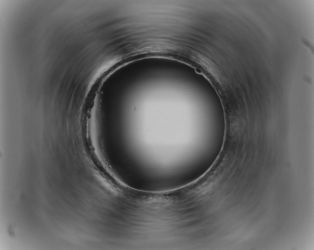 X0000097761026200803141718