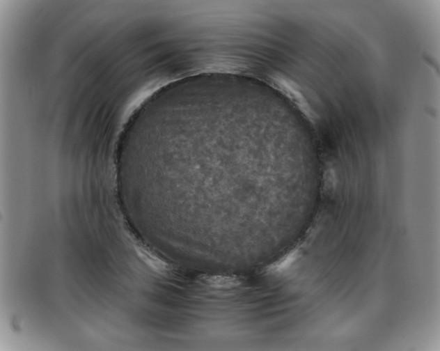 X0000097761027200803141718