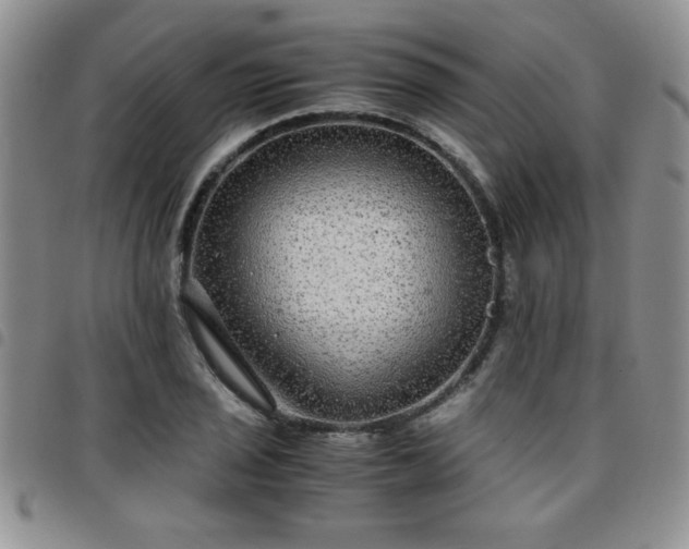 X0000097761029200803141718