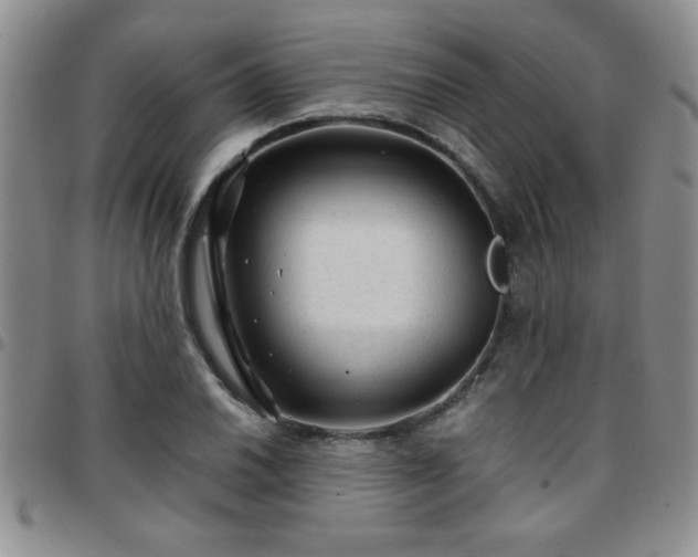 X0000097761030200803141718