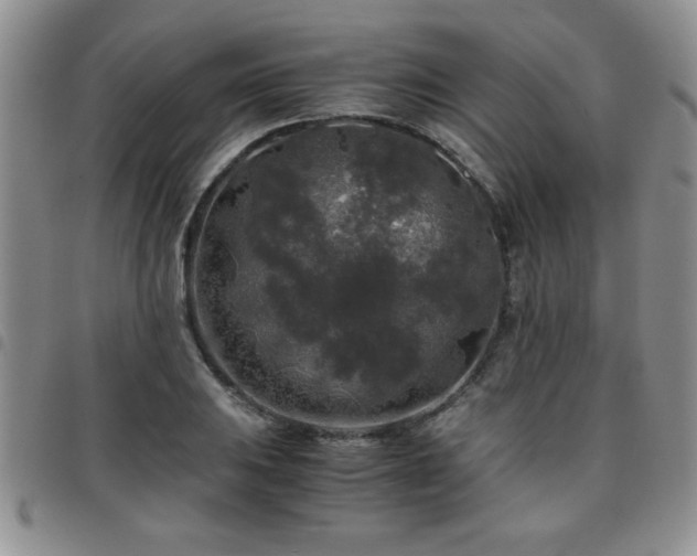 X0000097761031200803141718