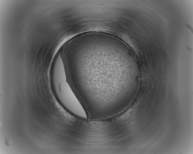 X0000097761032200803141718