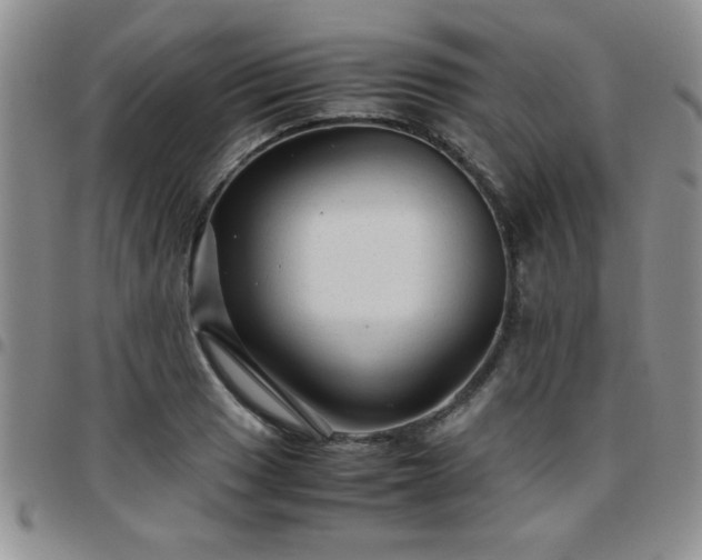 X0000097761033200803141718