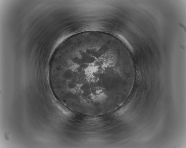 X0000097761035200803141718