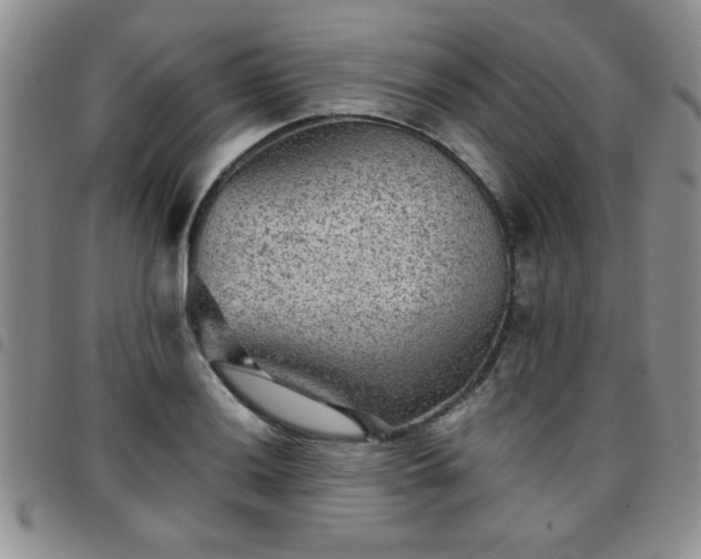 X0000097761036200803141718