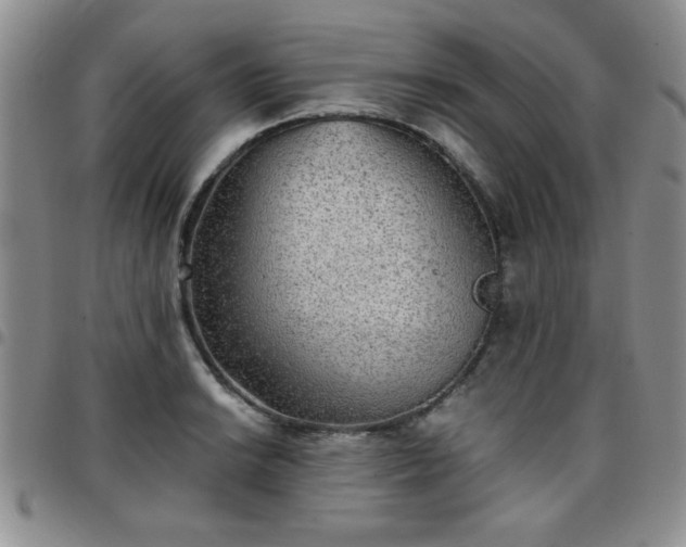 X0000097761038200803141719