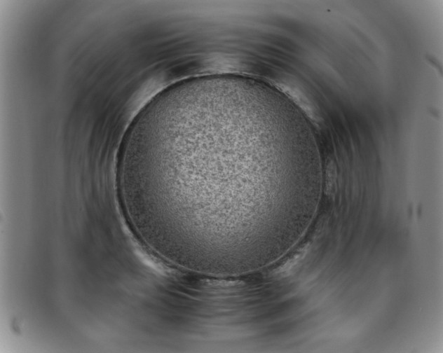 X0000097761039200803141719