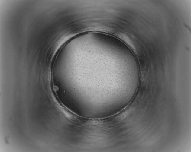 X0000097761040200803141719