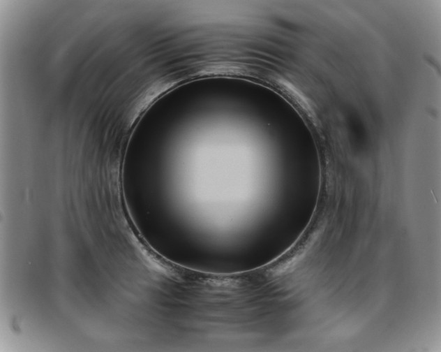 X0000097761041200803141719