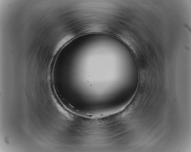 X0000097761042200803141719