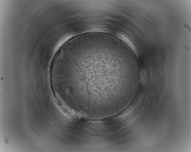 X0000097761043200803141719