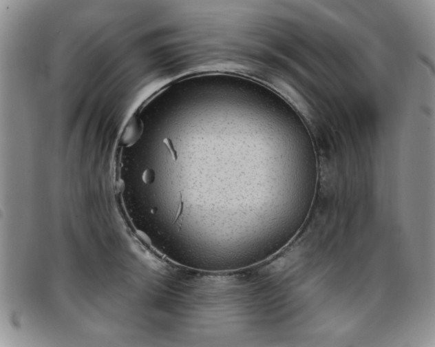 X0000097761044200803141719