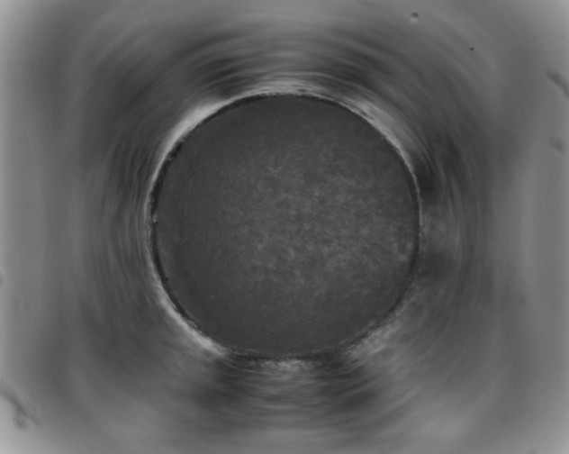 X0000097761045200803141719