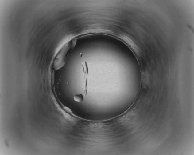 X0000097761046200803141719