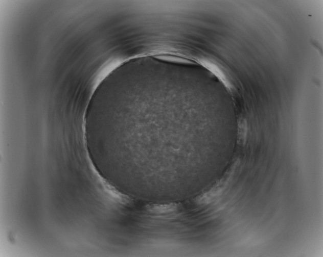 X0000097761047200803141719