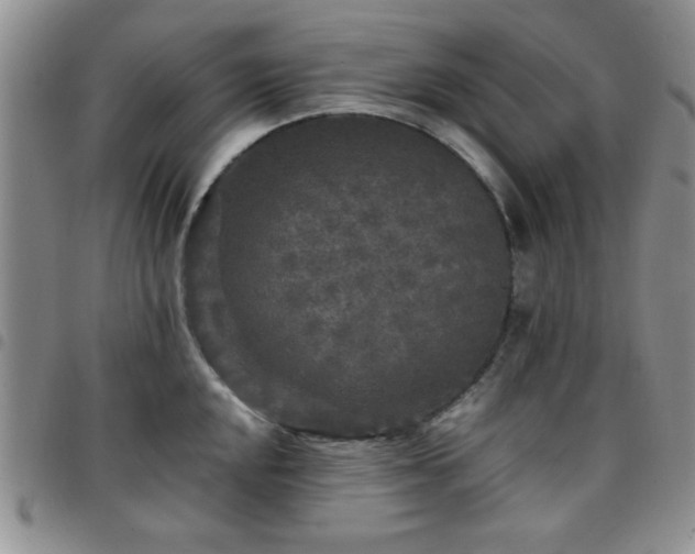 X0000097761048200803141719