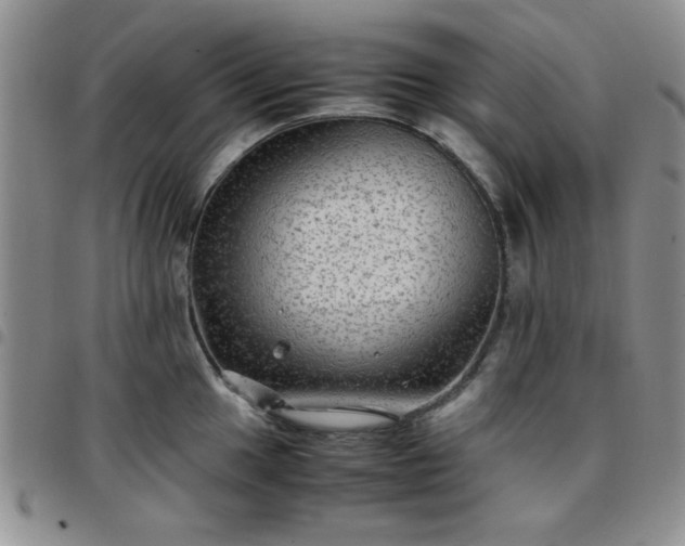 X0000097761049200803141719