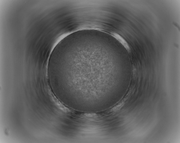 X0000097761052200803141719