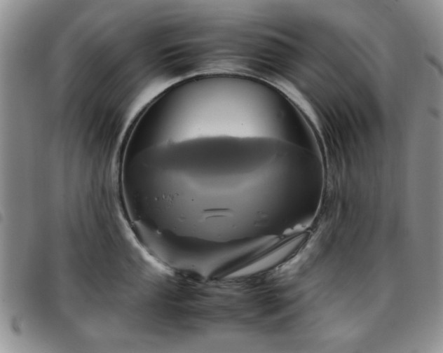 X0000097761053200803141719