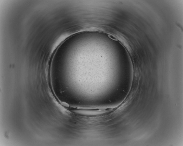 X0000097761054200803141719