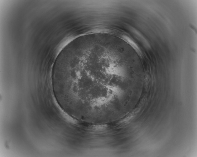 X0000097761055200803141719