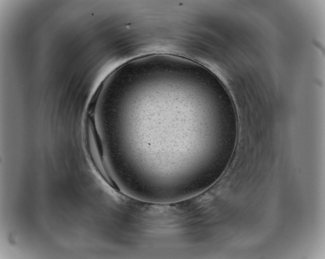 X0000097761056200803141719