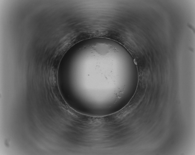 X0000097761058200803141718