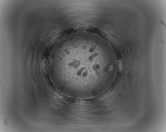 X0000097761059200803141718