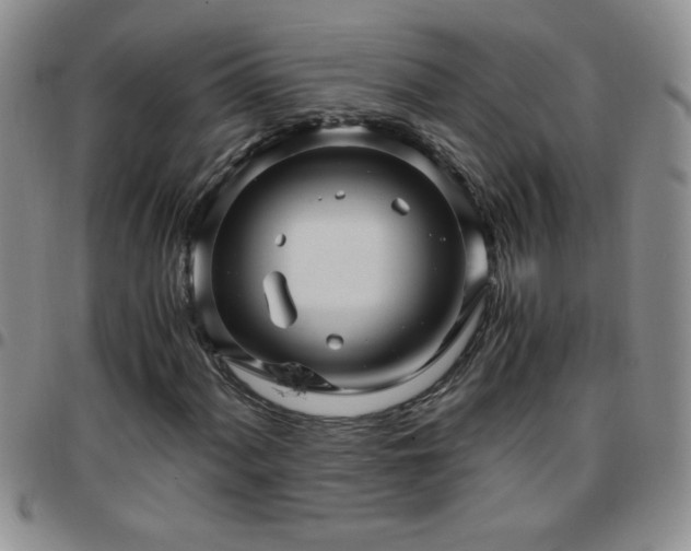 X0000097761060200803141718