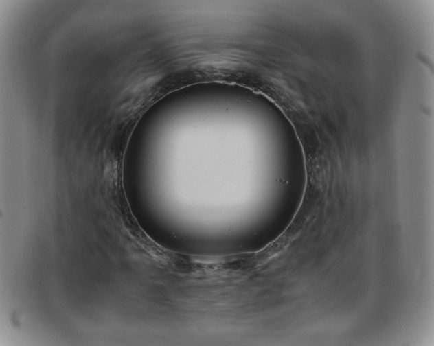 X0000097761061200803141718